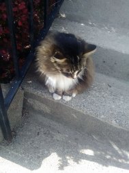 18555890_1413308598707763_588476224661146744_n[1]