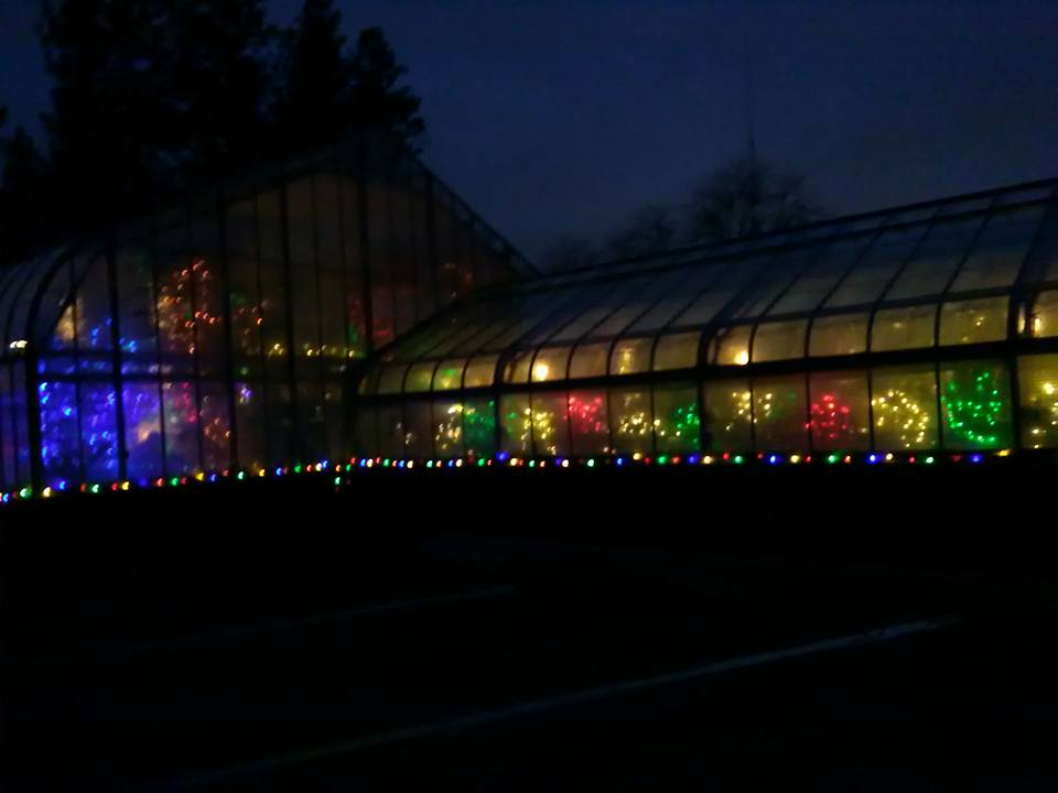 24909782_1617427588295862_1306281224400973122_n[1]