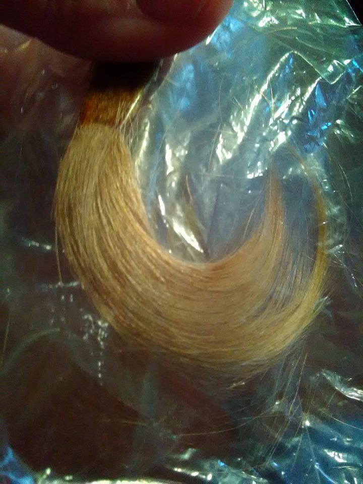 30653059_1745585758813377_1843967560551235584_n[1]