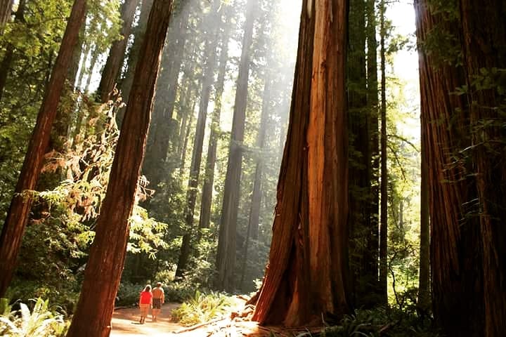 40406674_1940828055955812_1355976202468196352_n[1]