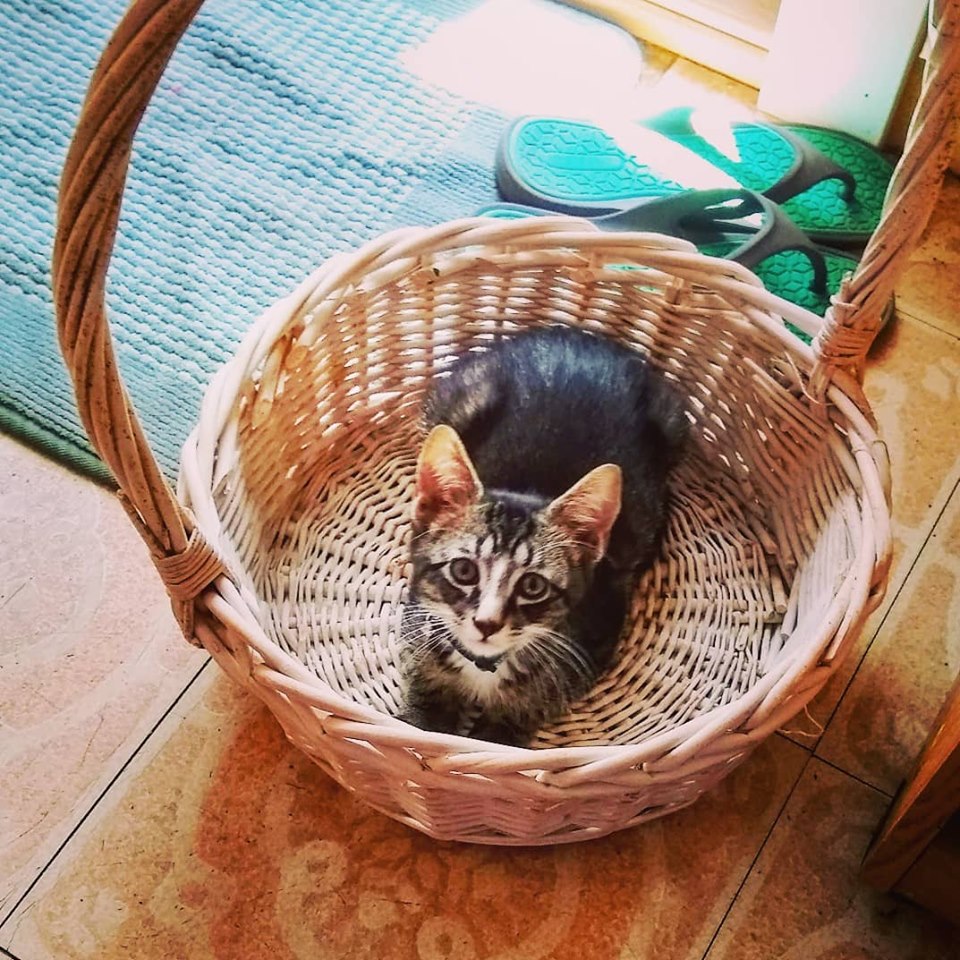 67768753_2463199130385366_8603458589316612096_n