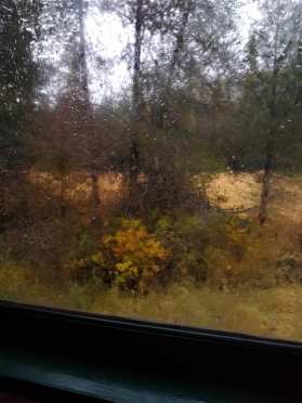 73236405_2607814502590494_3597753241816793088_n