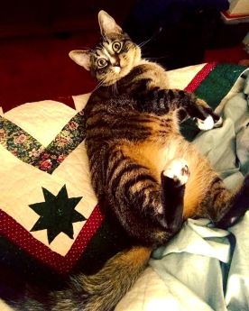 Walter Scott Not a Bit Sorry